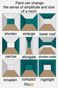 How to Choose the Correct Belts for Your Sebo Vacuum Cleaner